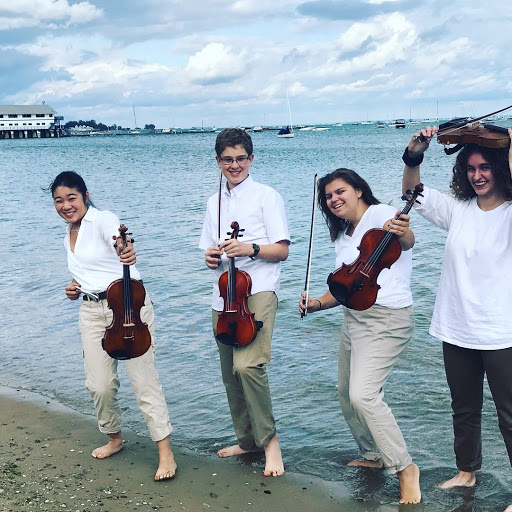 Suzuki Violinists of Western New York - Thumbnail