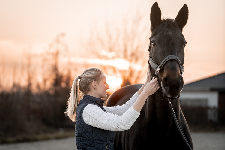 Larissa Lehmann - Osteopathie & Pferdetraining photo