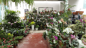 4 Seasons Garden Center 0