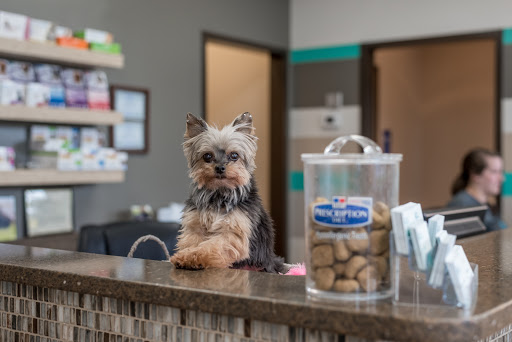 The Pet Hospitals Germantown - Thumbnail