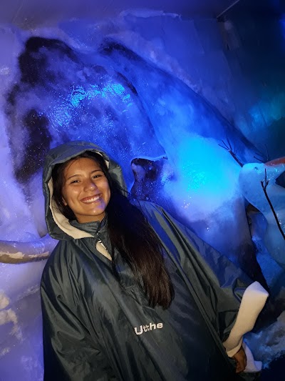 Photos of Bar de hielo