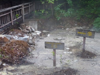 Photos of Savannah Trek