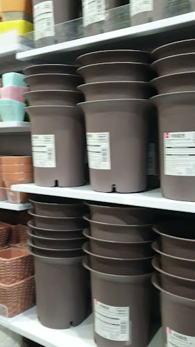 Ratings and feedback for Daiso Japan - Al Jimi Mall, Al Ain