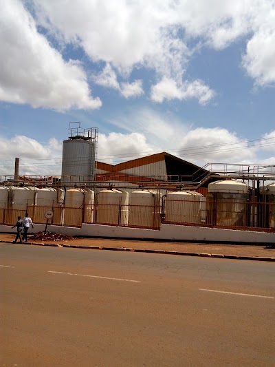 Photos of LES BRASSERIES DU CAMEROUN
