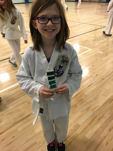 Plum Isshinryu (Karate) Academy - Thumbnail