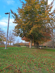 Photo n°6 de Aire de Fontvannes - A5 - APRR à Fontvannes (Aire d'autoroute)