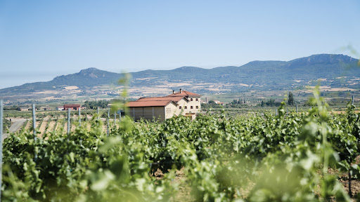 Bodegas y Viñedos Puente del Ea. - Thumbnail