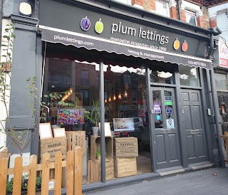Plum Lettings