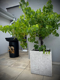 Photo n°2 de DLV CONCEPT à Saint-Léger-sur-Roanne (Magasin)