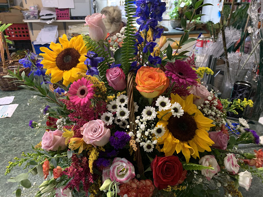 Sinclair Florist - Visual