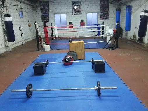 Beccar Boxingclub, Author: Hernan Juarez