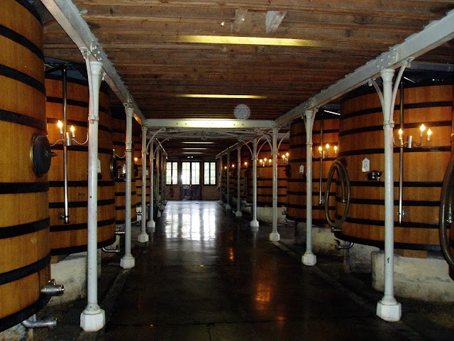 Château Pontet-Canet