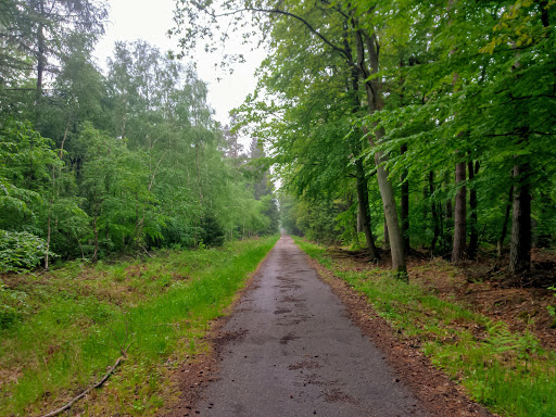 Rostock Heath and Wallbach - Thumbnail