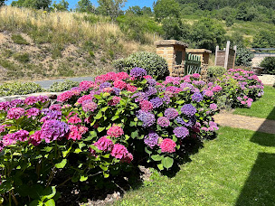 Photo n°6 de Domaine CHAGA à Sainte-Paule (Chambre d'hôtes)