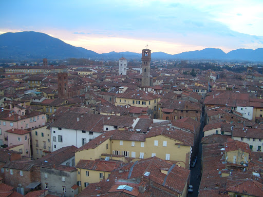 Amministrazione Provinciale Di Lucca - Thumbnail