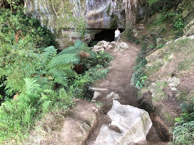 Waipu Caves