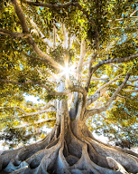 Peggy Bringoux Curothérapeute | Harmonisation Énergétique & Reprogrammation Mentale à Le Luhier