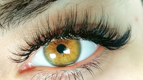 WEST LONDON LASHES