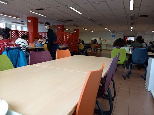School Juliette Récamier - Thumbnail
