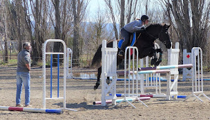 Photo n°9 de À Lure à Cheval - Centre Équestre au pied de la Montagne de Lure à Saint-Étienne-les-Orgues (Club d'équitation)