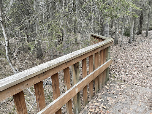Briggs Bridge - Visual