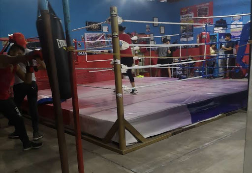 GYM DE BOX PUÑO DE ORÓ - Thumbnail