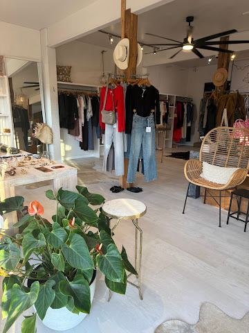 Driftwood Maui by null