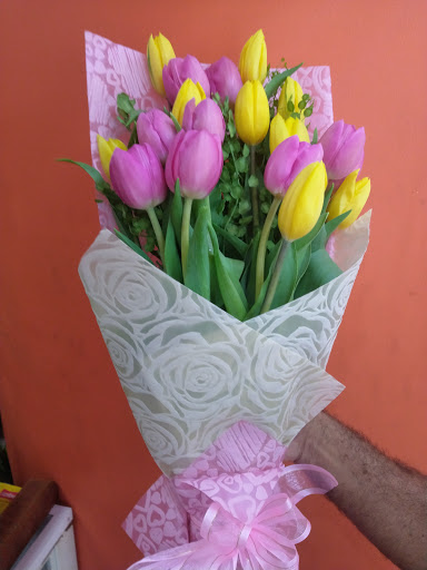Espacio floral - Visual