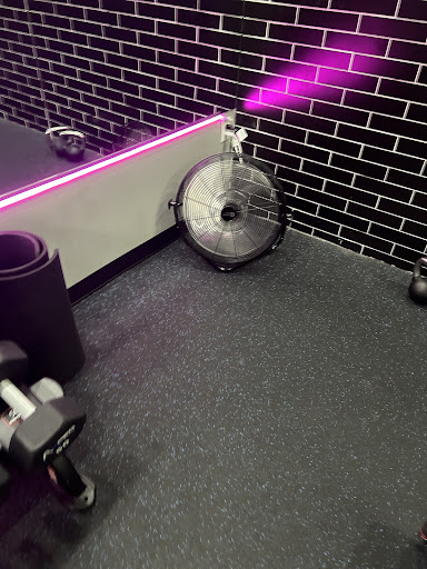 Amped Fitness (Carrollwood) - Thumbnail