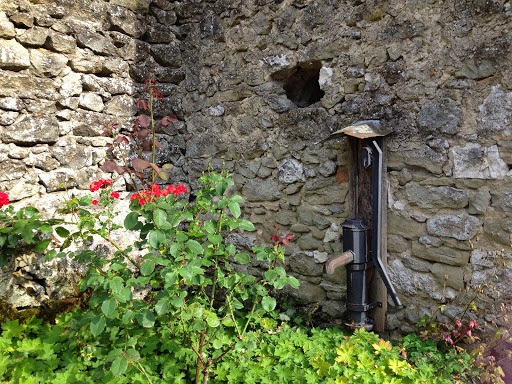 Maison du Marais de Lavours - Thumbnail