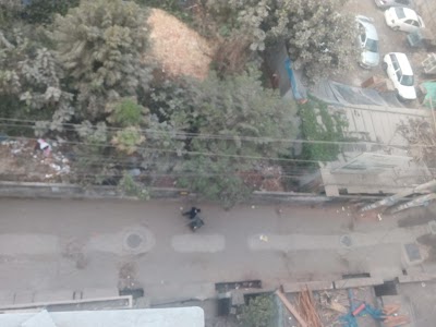 Photos of Numa Garden