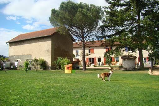 Photo de Chambres d'hôtes des Brouilly à Saint-Lager (69220)