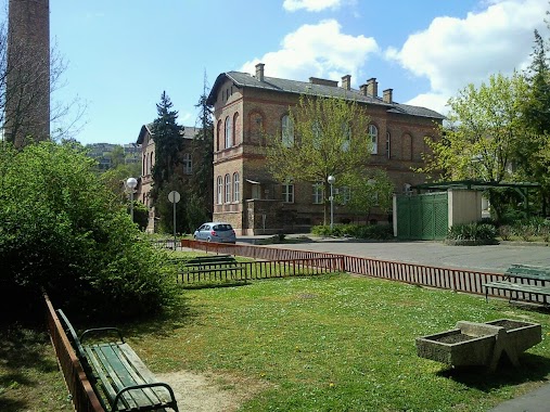 Szent János's Hospital and North Buda Unified Hospitals, Author: Verőczi Zoltán