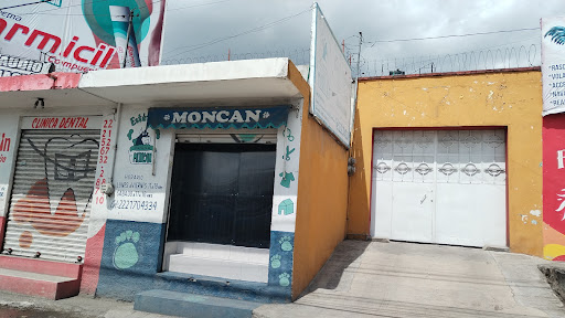 Moncan estetica canina - Thumbnail