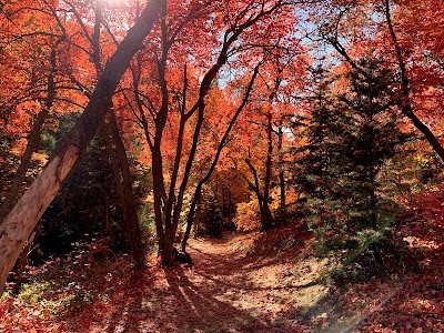 Adams Canyon Bridge Campground