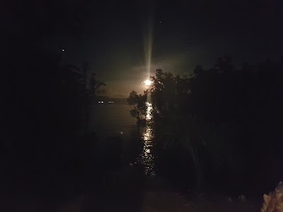 Photos of Bunaken Sea Garden Dive Resort
