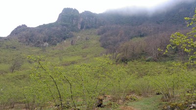 Photos of Ulutaflan Gulyali Ordu