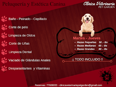Photos of Cl&iacute;nica Veterinaria Pet Garden