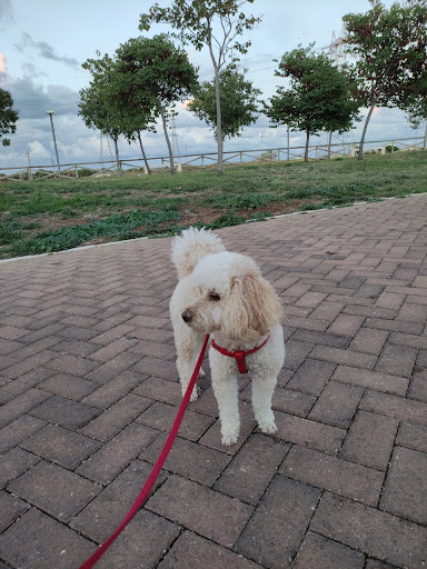 Parco Comunale Loseto