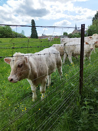 Photo n°40 de Camping des Bouleaux 70emplacements 43emplacements loisirs 5 locatifs 22 emplacements non desservis à Inor (Terrain de camping)