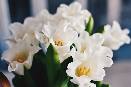 Casper Funeral & Cremation Services - Thumbnail