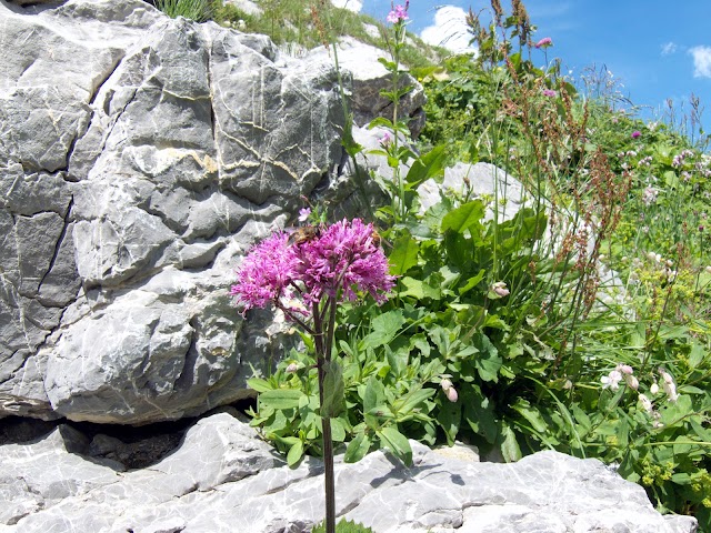 Nebelhorn