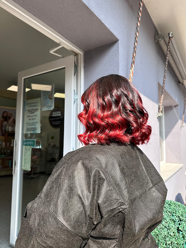 Le Madame Chic - Visual