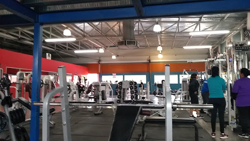 Sporting Gym - Visual