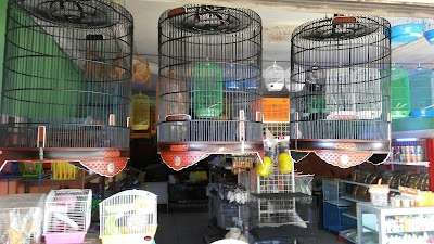 Photos of Duri Hamster Shop