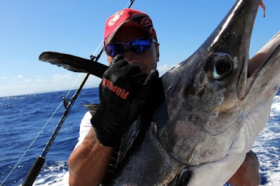 Photos of Big Marlin Charters Punta Cana