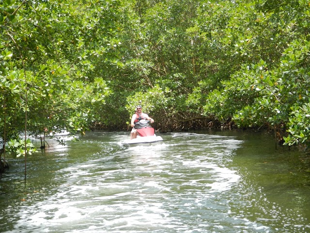 Atmosphere : Excursions Touristiques