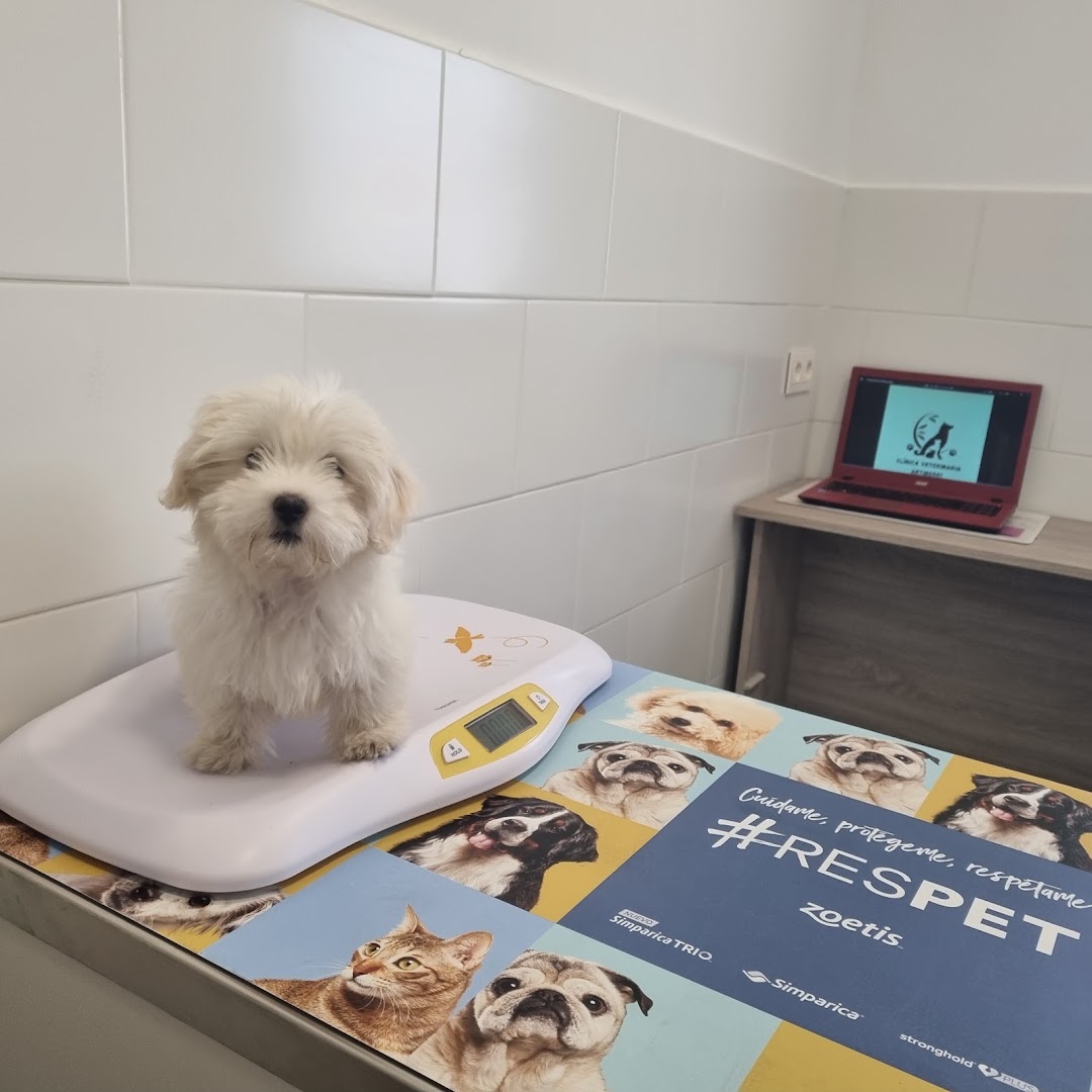 Clinica Veterinaria Artiberri