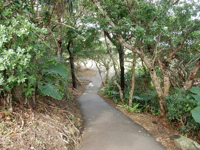 Tamatorizaki Observation Platform