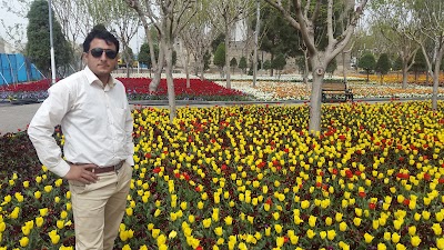 Photos of بوستان زندگی